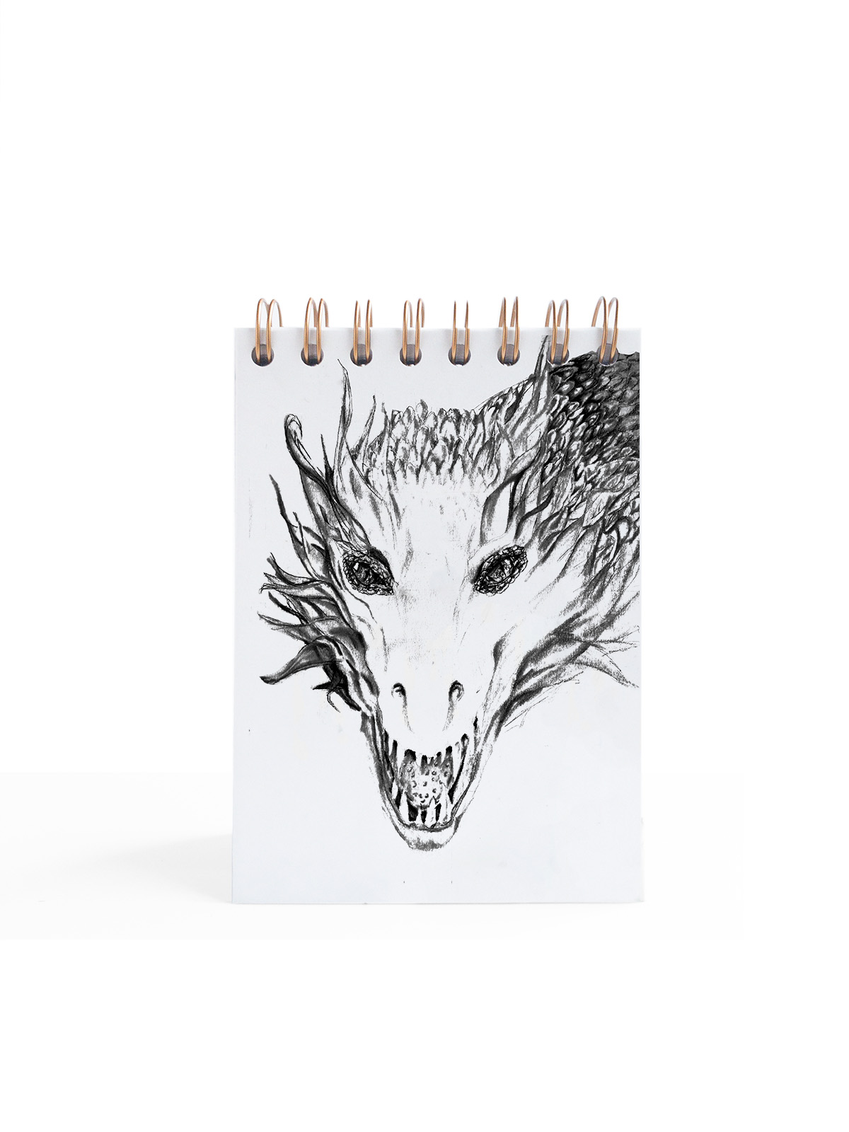 Cuaderno de notas Dragón lineal