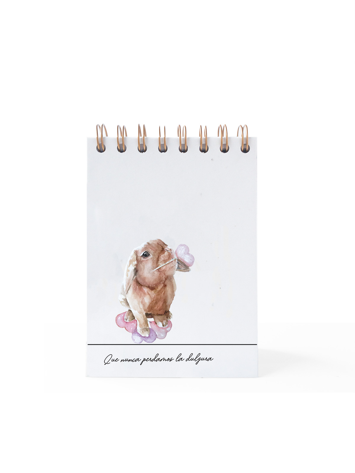 Cuaderno de notas Rabbit